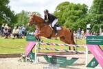 111-CREEVAGHSTABLES_IFICUDIWUD-Tim_Cheffings-SUNTrotUp+SJ portfolio