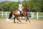 SBM_008691