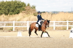 SBM_009880