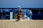 3HRodeo8-11-25_PRCASteer_02536_