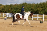 SBM_009690