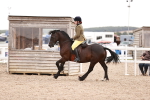 SBM_19060