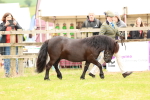 SBM_04329