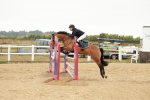 SBM_008979