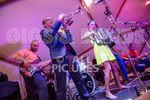 MOLOTOV JUKEBOX portfolio