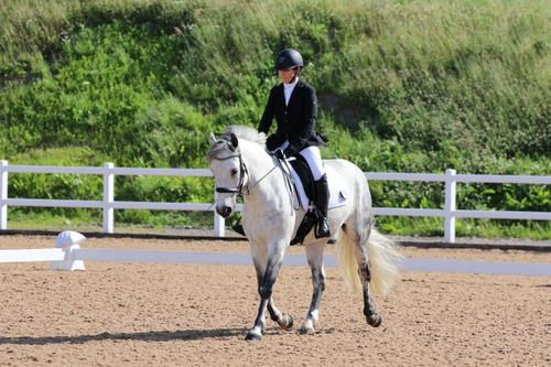 Bogenraith Dressage 27/06/20269