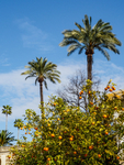 Andalucia 5  -133