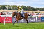 160926-Race 8-Evelyns Phoenix-2215