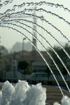 Water Crane