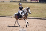 Cls 3 Medium Pony Team portfolio