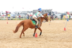 SBM_004378