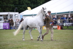 SBM_09849