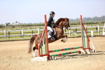 SBM_000258