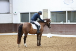 SBM_000291