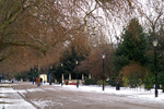 London - 48
