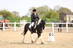 SBM_007490