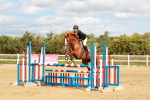 SBM_000989