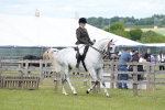 SBM_16160