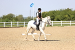 SBM_009109
