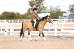 Class 416 - Prettiest Mare (IH or Ridden) Jnr portfolio