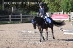 BPP_8591