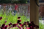 Friday 19th June 2009