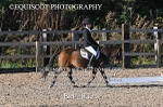 BPP_8321