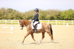 SBM_008448