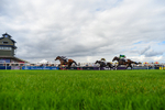 300826-Race 5-Harb-6950