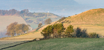 White Nancy from Rainow (1)
