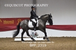 BPP_2319