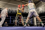 Boxing_Guernsey v Manchester-146