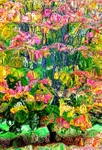Acera Abstract