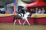SBM_14890