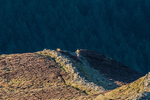 Grisedale-10