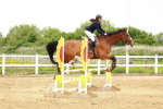 SBM_000906