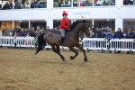 SBM_005047