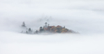 Lattrigg Mist detail IMG_2452 v2