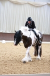 SBM_004563