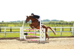 SBM_002664