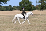 WJ6_8803