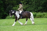 WJ7_2339