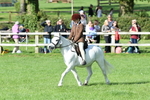 SBM_50390