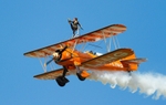 RIAT2014 310
