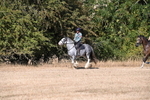 WJ6_7801