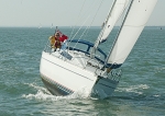081012 MARTLET 8CDX1539