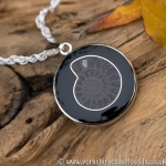 jpai 169 Whitby Jet & Ammonite Inlay