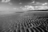Holkham 1