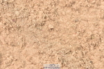 230810A-095452-00162