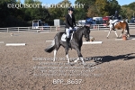 BPP_8637